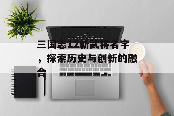 三国志12新武将名字，探索历史与创新的融合