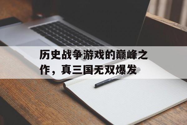 历史战争游戏的巅峰之作，真三国无双爆发