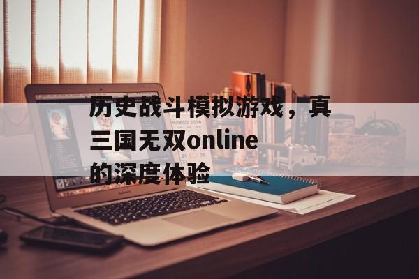 历史战斗模拟游戏，真三国无双online的深度体验