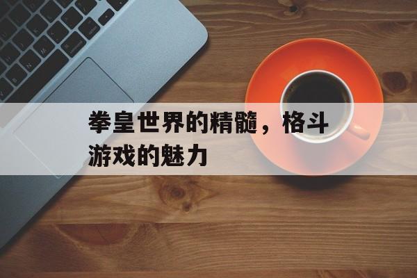拳皇世界的精髓，格斗游戏的魅力