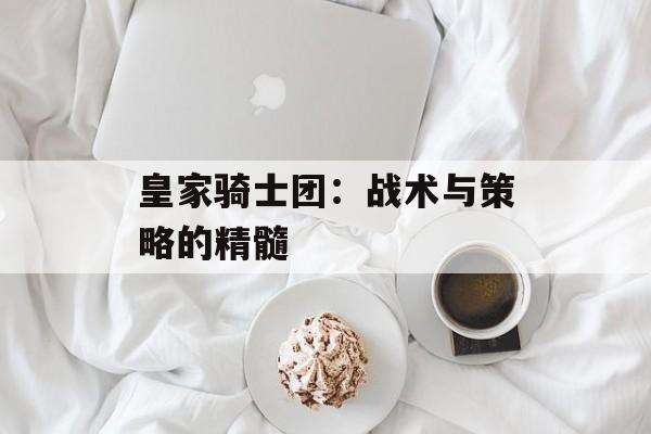 皇家骑士团：战术与策略的精髓