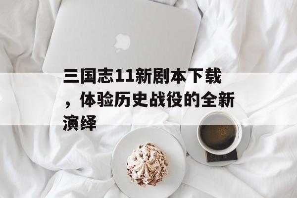 三国志11新剧本下载，体验历史战役的全新演绎