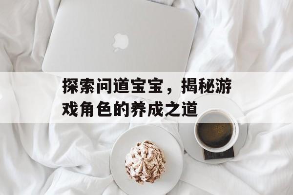 探索问道宝宝，揭秘游戏角色的养成之道