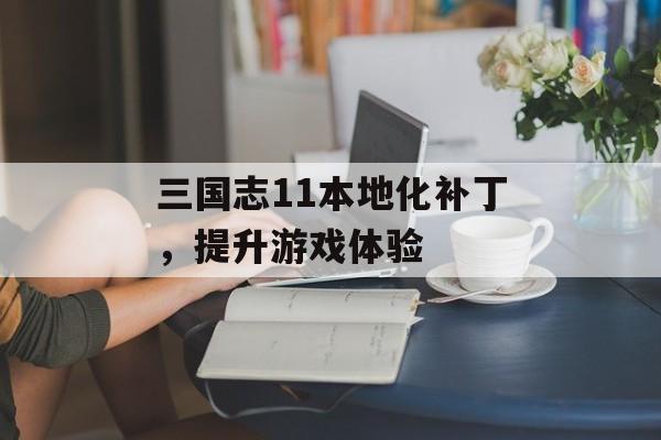 三国志11本地化补丁，提升游戏体验