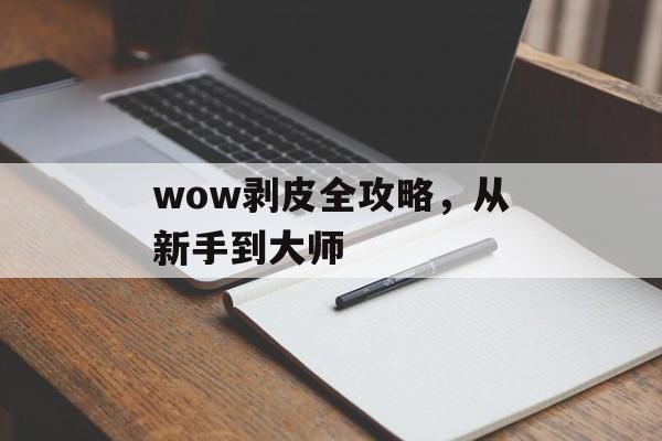 wow剥皮全攻略，从新手到大师