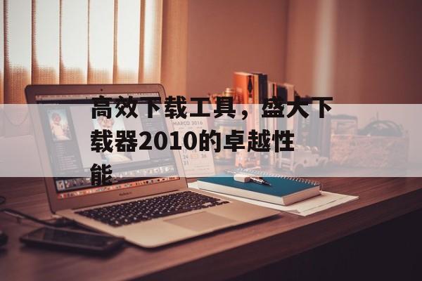 高效下载工具，盛大下载器2010的卓越性能