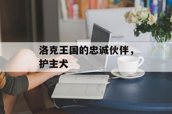洛克王国的忠诚伙伴，护主犬