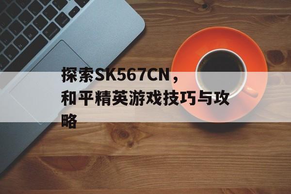 探索SK567CN，和平精英游戏技巧与攻略