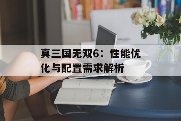 真三国无双6：性能优化与配置需求解析