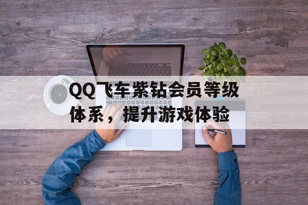 QQ飞车紫钻会员等级体系，提升游戏体验