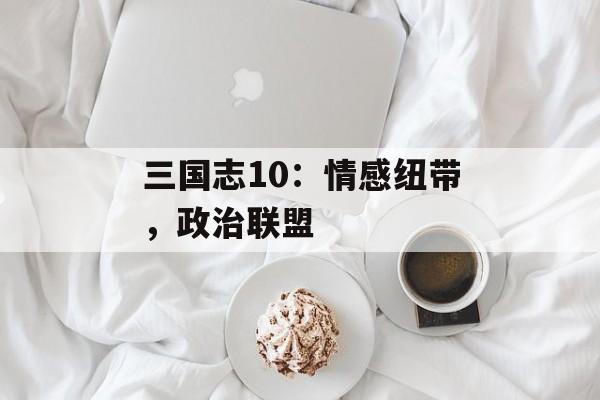 三国志10：情感纽带，政治联盟