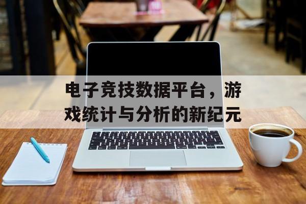 电子竞技数据平台，游戏统计与分析的新纪元