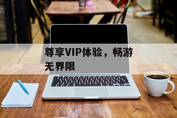 尊享VIP体验，畅游无界限