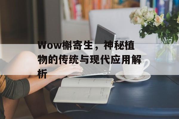Wow槲寄生，神秘植物的传统与现代应用解析
