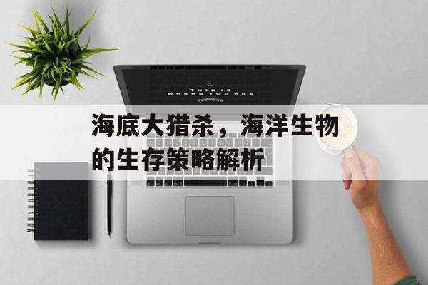 海底大猎杀，海洋生物的生存策略解析