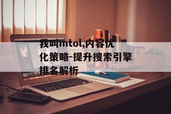 我叫mtol,内容优化策略-提升搜索引擎排名解析