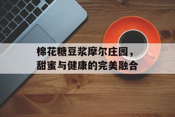 棉花糖豆浆摩尔庄园，甜蜜与健康的完美融合