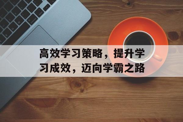 高效学习策略，提升学习成效，迈向学霸之路