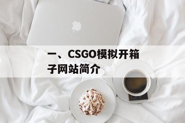 一、CSGO模拟开箱子网站简介