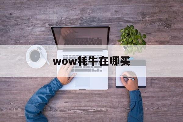 wow牦牛在哪买