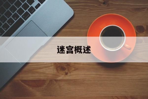 迷宫概述