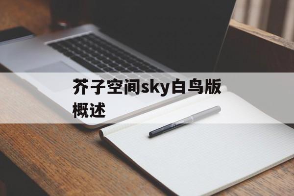 芥子空间sky白鸟版概述