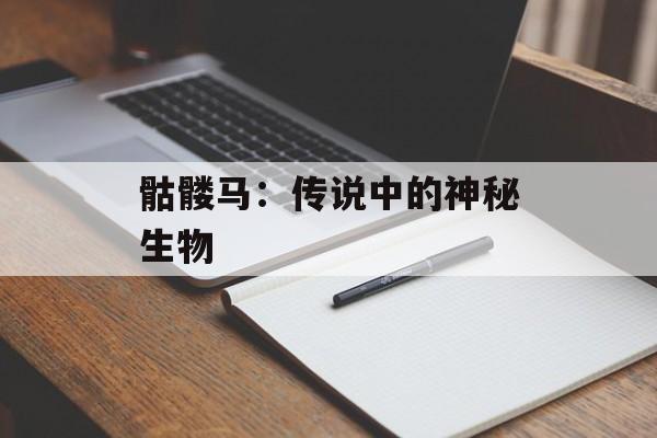 骷髅马：传说中的神秘生物