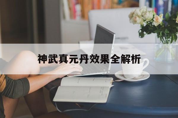 神武真元丹效果全解析