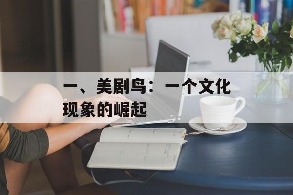 一、美剧鸟：一个文化现象的崛起
