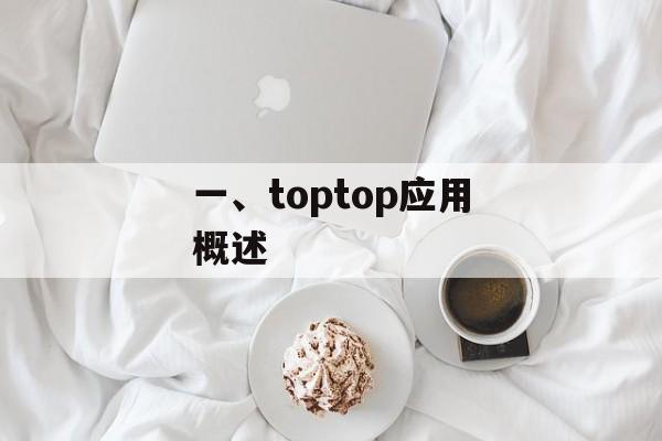 一、toptop应用概述