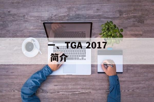 一、TGA 2017 简介
