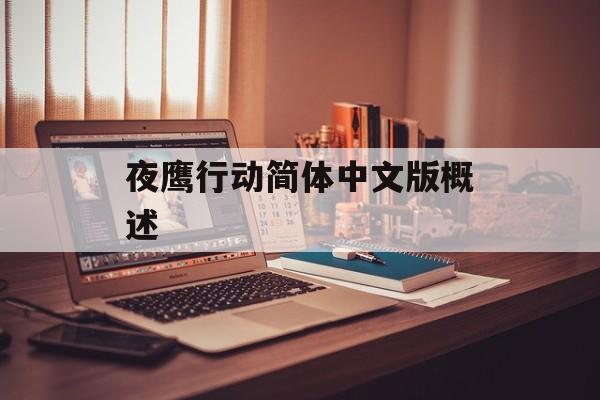 夜鹰行动简体中文版概述