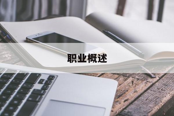 职业概述