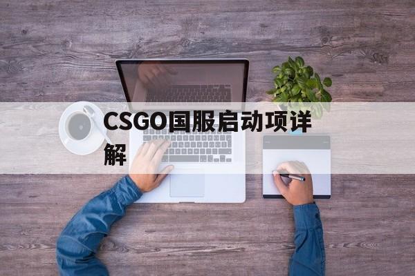 CSGO国服启动项详解
