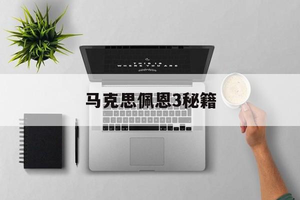 马克思佩恩3秘籍