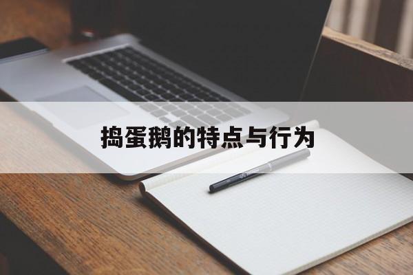 捣蛋鹅的特点与行为