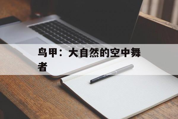 鸟甲：大自然的空中舞者