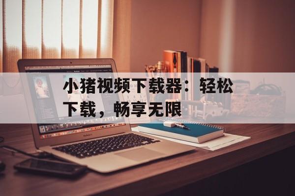 小猪视频下载器：轻松下载，畅享无限