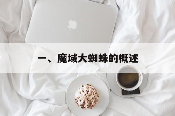 一、魔域大蜘蛛的概述