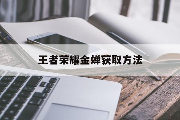 王者荣耀金蝉获取方法