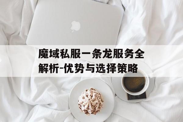 魔域私服一条龙服务全解析-优势与选择策略