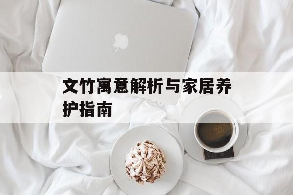 文竹寓意解析与家居养护指南