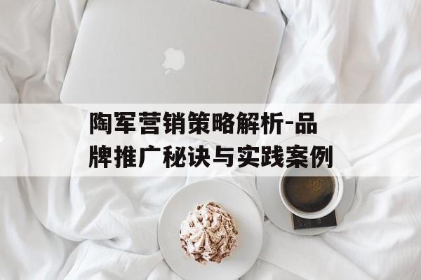 陶军营销策略解析-品牌推广秘诀与实践案例