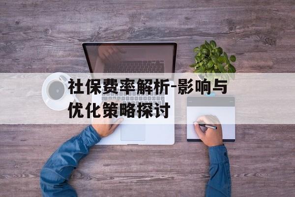 社保费率解析-影响与优化策略探讨