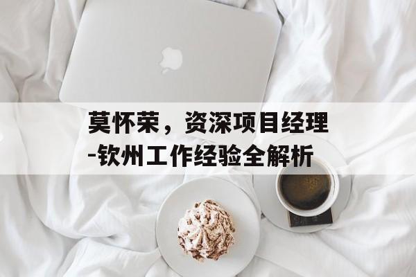 莫怀荣，资深项目经理-钦州工作经验全解析