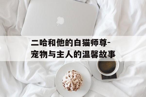 二哈和他的白猫师尊-宠物与主人的温馨故事