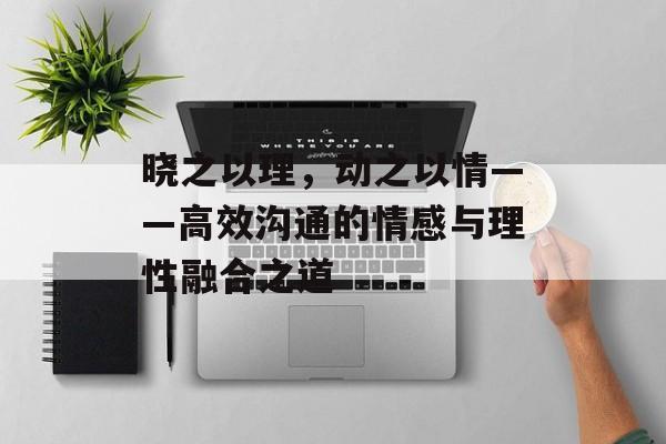 晓之以理，动之以情——高效沟通的情感与理性融合之道
