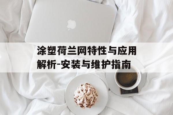 涂塑荷兰网特性与应用解析-安装与维护指南