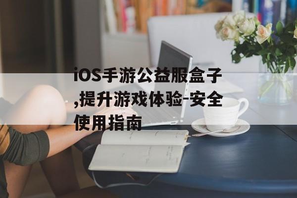iOS手游公益服盒子,提升游戏体验-安全使用指南