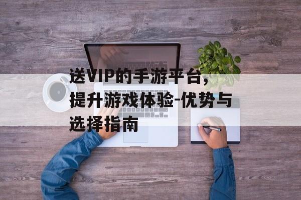 送VIP的手游平台,提升游戏体验-优势与选择指南